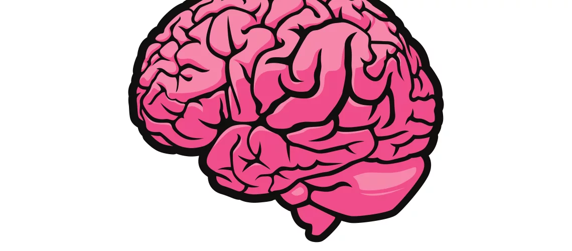 braingraphic
